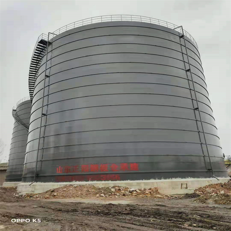 来凤3万吨大型钢板库